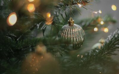 Jul- och nyårshälsningar från Stenungsunds Energi